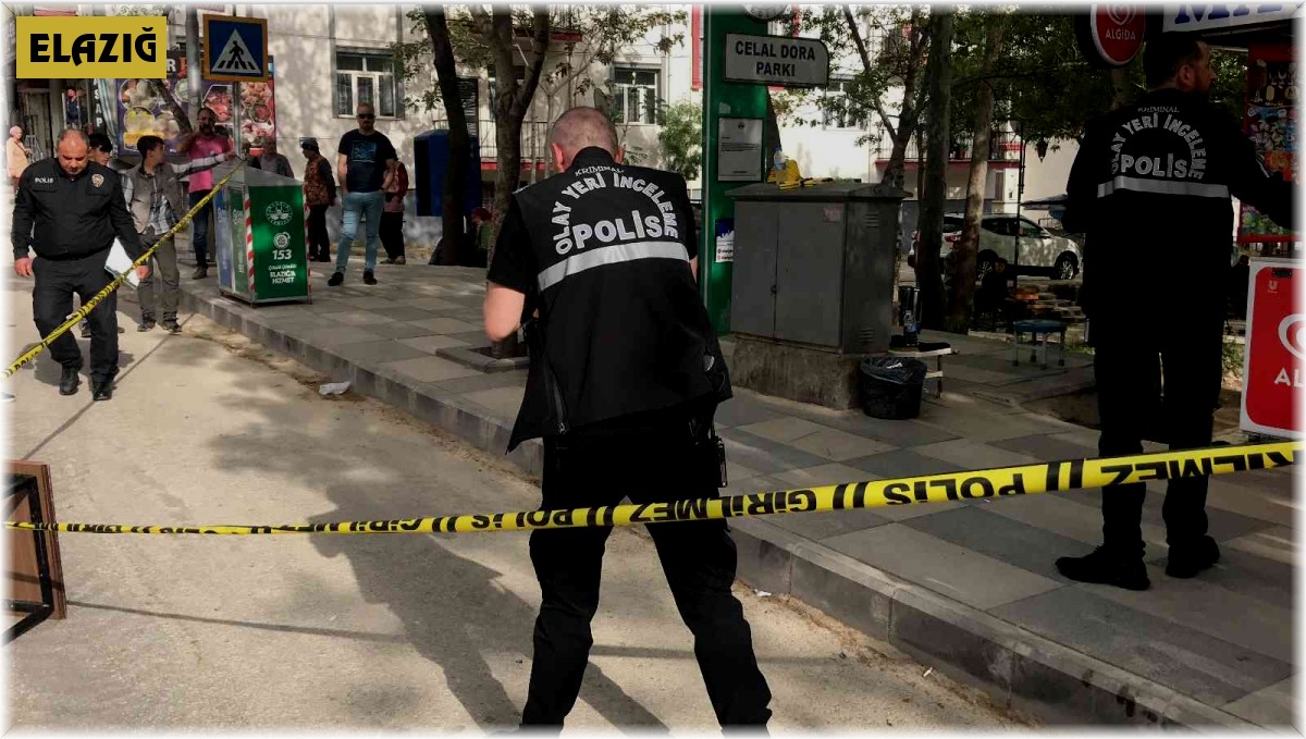 Elazığ'daki 1 kişinin ağır yaralandığı silahlı kavgada 2 şahıs gözaltına alındı