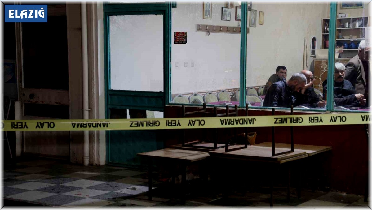 Elazığ'daki çay ocağı saldırısında 3 gözaltı