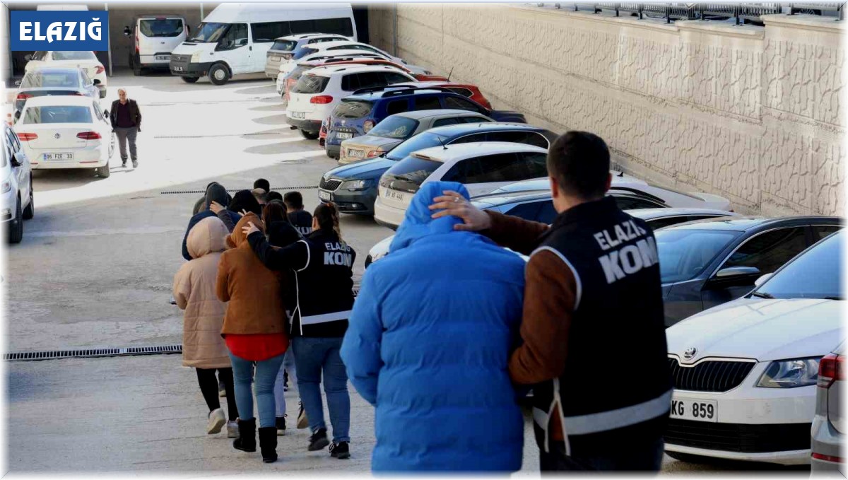 Elazığ'daki Cımbız-2 Operasyonu'nda 6 tutuklama