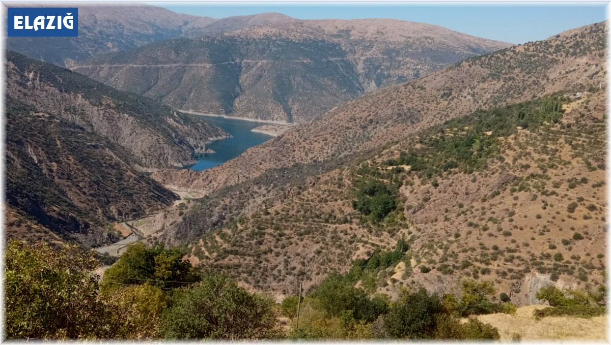 Elazığ'daki orman yangını söndürüldü
