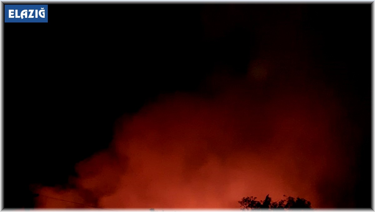 Elazığ'daki orman yangınına yönelik müdahale sürüyor