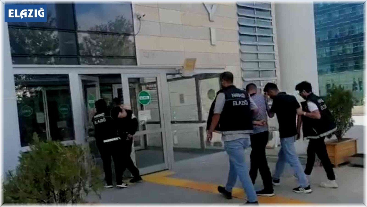 Elazığ'daki uyuşturucu operasyonunda bir tutuklama