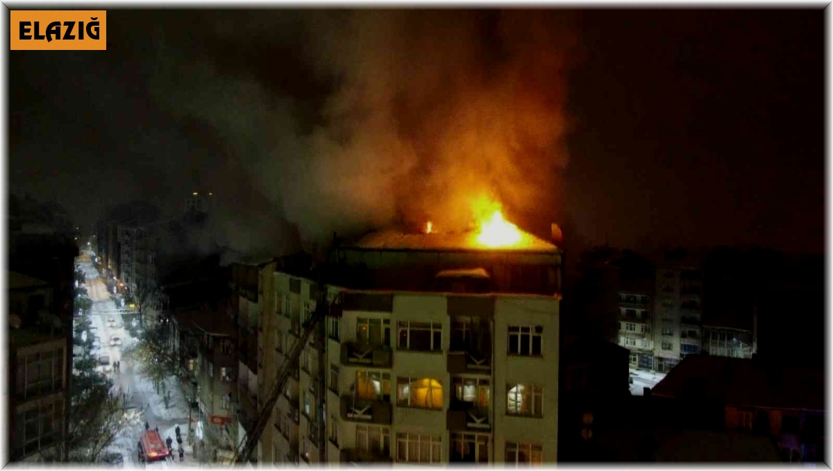 Elazığ'daki yangın söndürüldü