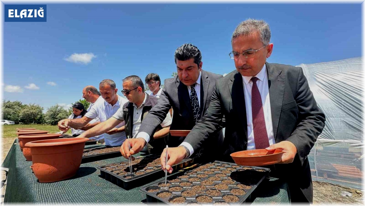 Elazığ Hipodrom Müdürlüğünün üreteceği binlerce çiçek hipodromları renklendirecek