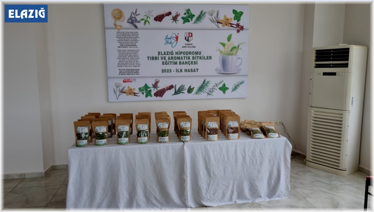 Elazığ Hipodromu'nda tıbbi aromatik bitki üretiminden ilk hasat yapıldı