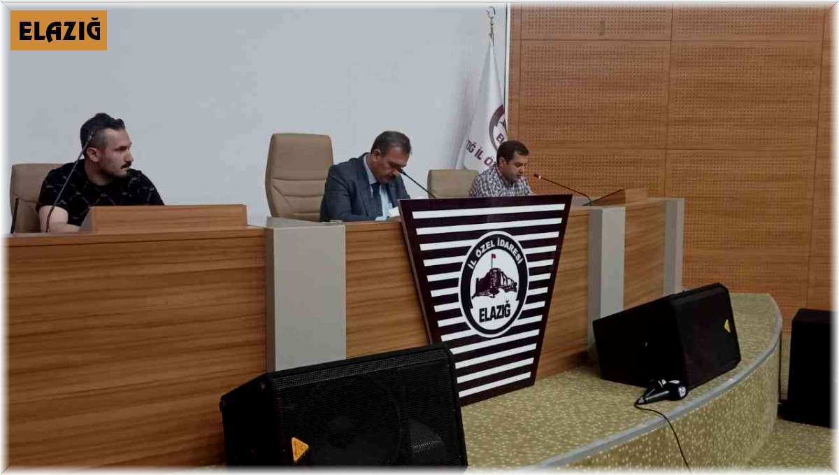 Elazığ İl Özel İdarespor'da Ali Şiş dönemi