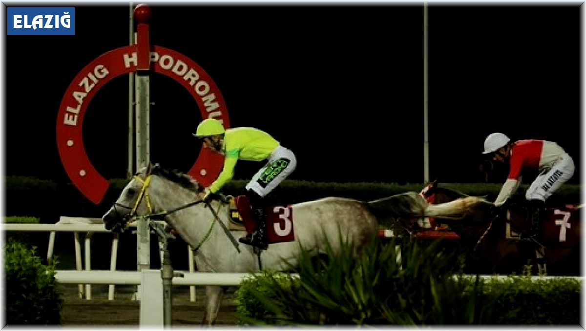 Elazığ İl Tarım Müdürlüğü Koşusu'nu 'Dörtnalbeyi' kazandı