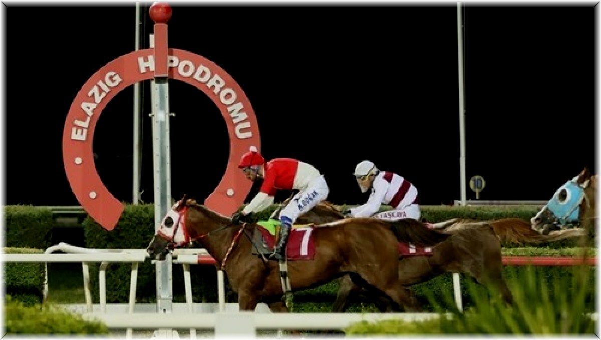 Elazığ İl Tarım ve Orman Müdürlüğü Koşusu'nu Yutangirdap kazandı