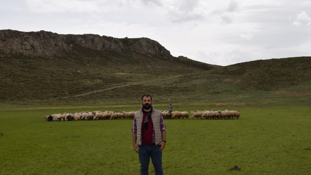 Elazığ'ın 2 bin rakımdaki kalp gölü Bervi kurudu, hayvanlara otlak oldu