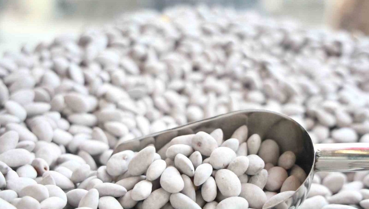 Elazığ'ın 'Beyaz altını' badem şekeri