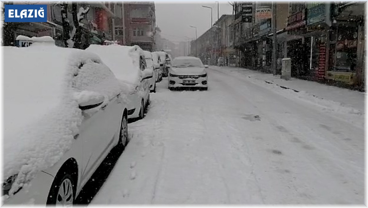 Elazığ'ın ilçelerinde kar yağışı etkili oldu