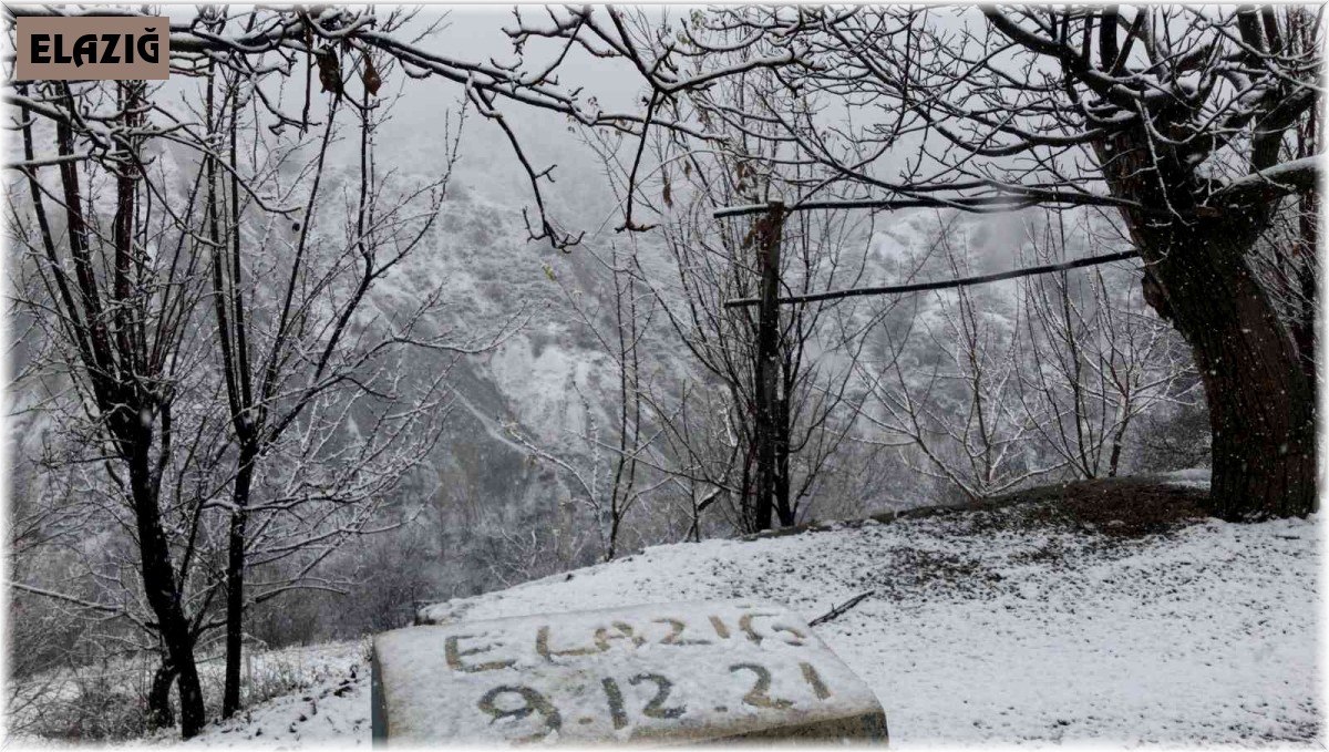Elazığ'ın yüksek kesimlerinde kar etkili oldu