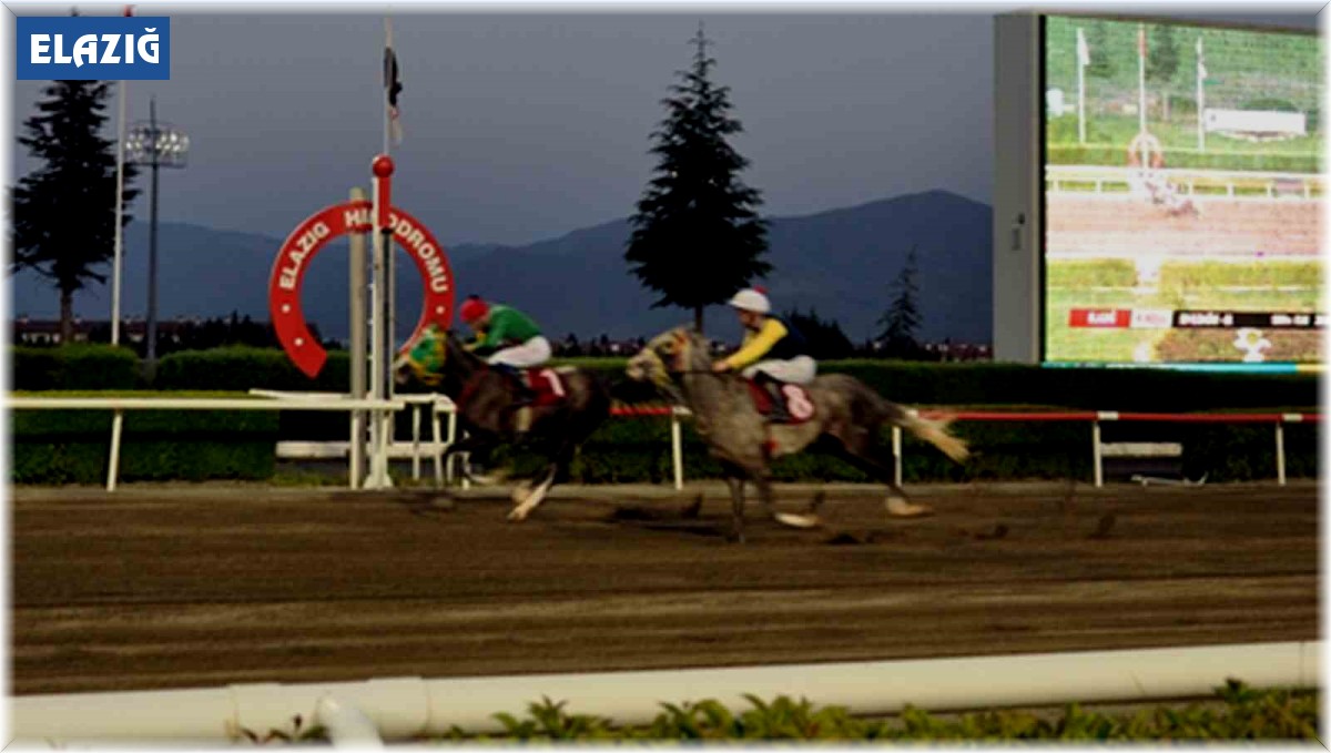 Elazığ Jandarma Koşusu'nu Göbeklitepe Ağası kazandı
