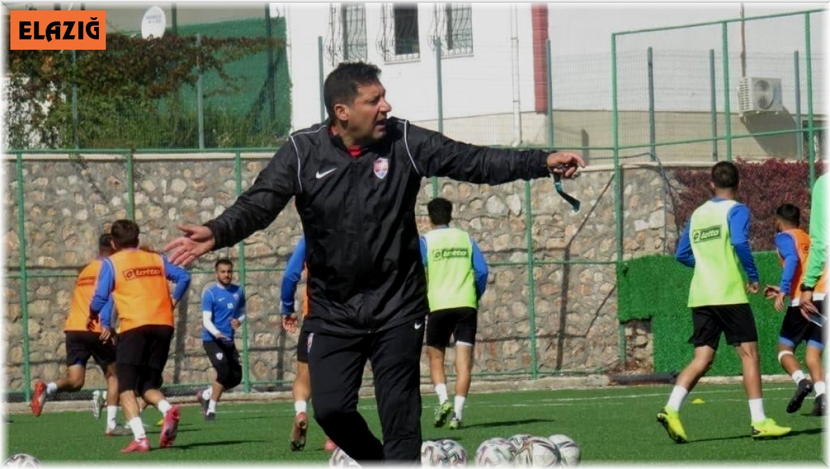 Elazığ Karakoçan'da Çınar dönemi bitti