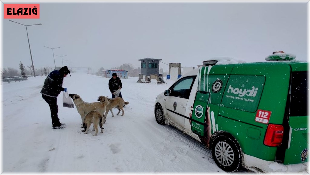 Elazığ polisi sokak hayvanlarını unutmadı