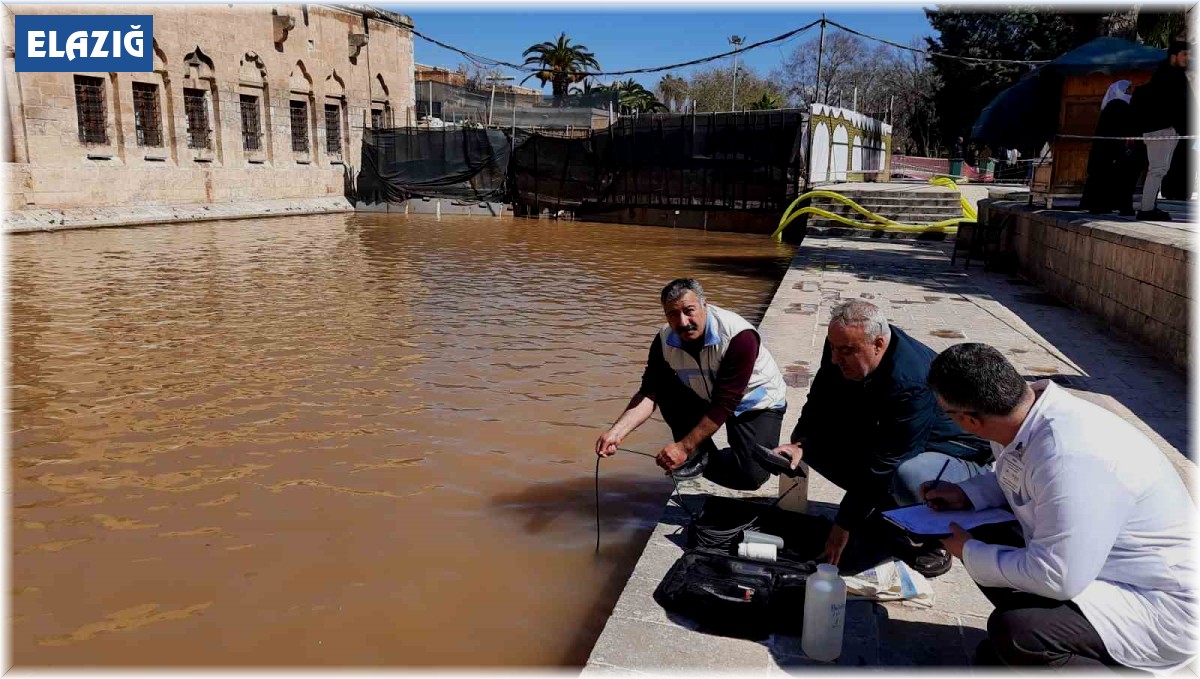 Elazığ Su Ürünleri Araştırma Enstitüsü, Balıklıgöl'de inceleme yaptı