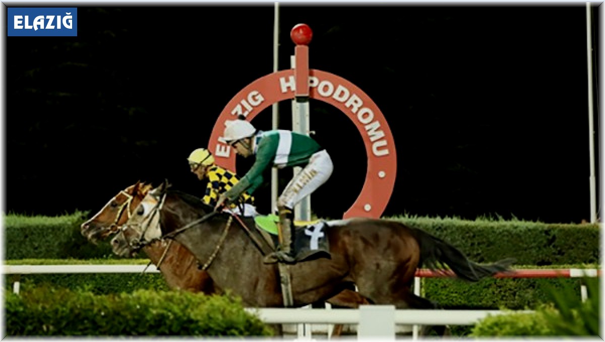 Elazığ Üzüm Festivali Koşusu'nu Yıldızkıran kazandı