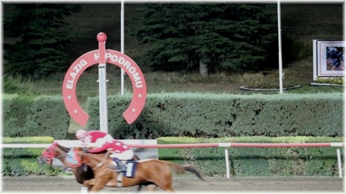 Elazığ Üzüm Festivali Koşusunu Dothraki kazandı