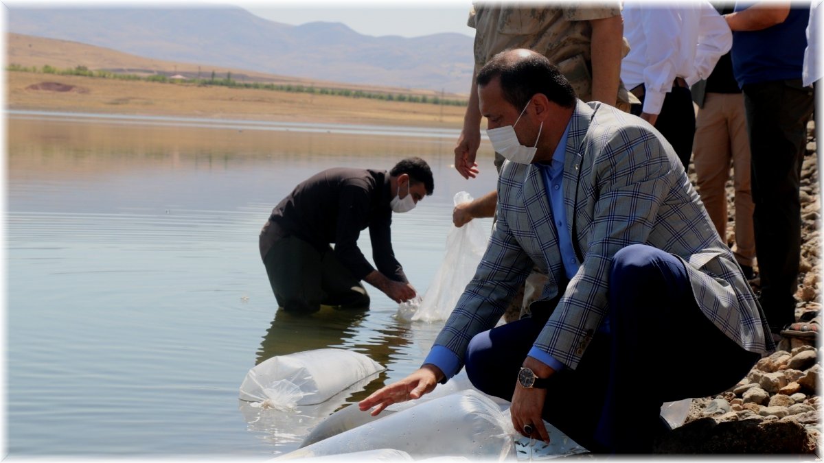Elazığ’da 100 bin bin yavru sazan balığı gölete bırakıldı