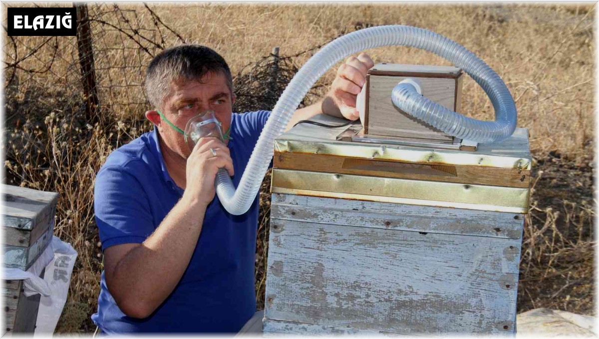 Elazığlı arıcı geliştirdi, KOAH ve astım hastalarına umut olacak