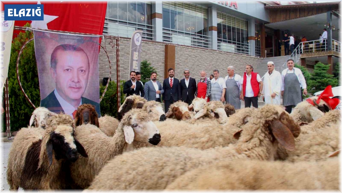 Elazığlı iş adamı, yeniden seçilen Cumhurbaşkanı Erdoğan için 20 adak kurbanı kesti