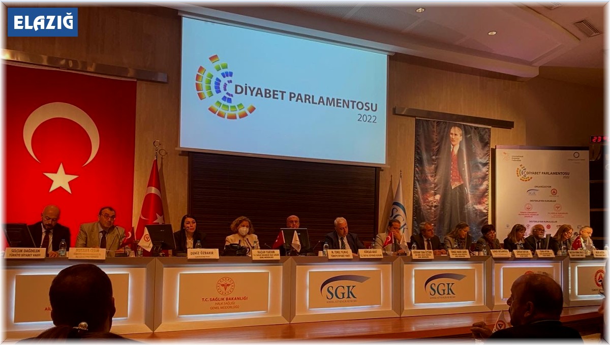 Elazığlı öğretmen doğu illerini temsilen 12. Diyabet Parlamentosu'na katıldı