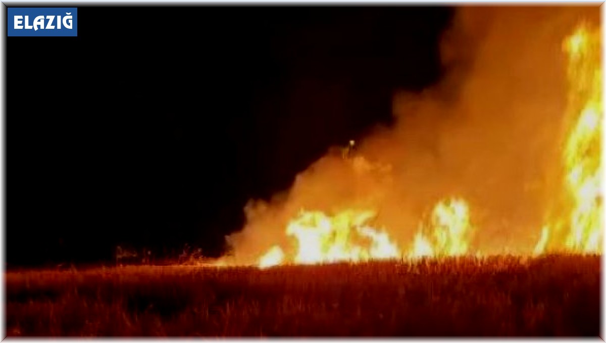 Elektik direğinden çıkan kıvılcım ekili alanı küle çevirdi