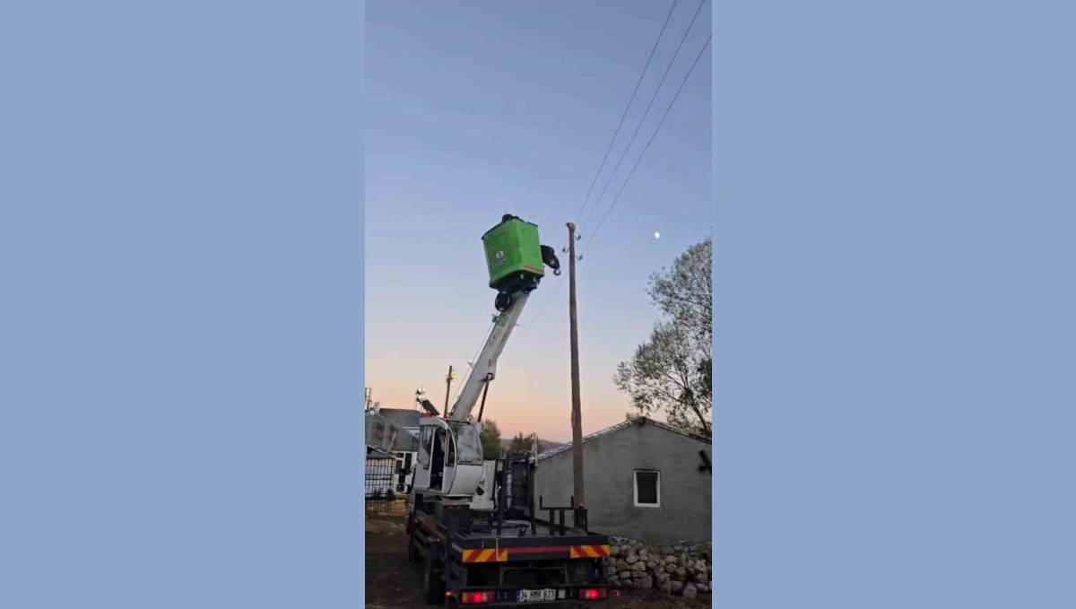 Elektrik direğinde mahsur kalan kediyi ekipler kurtardı