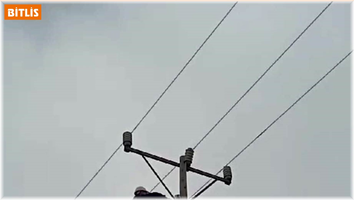 Elektrik direğinde mahsur kalan kediyi VEDAŞ ekipleri kurtardı