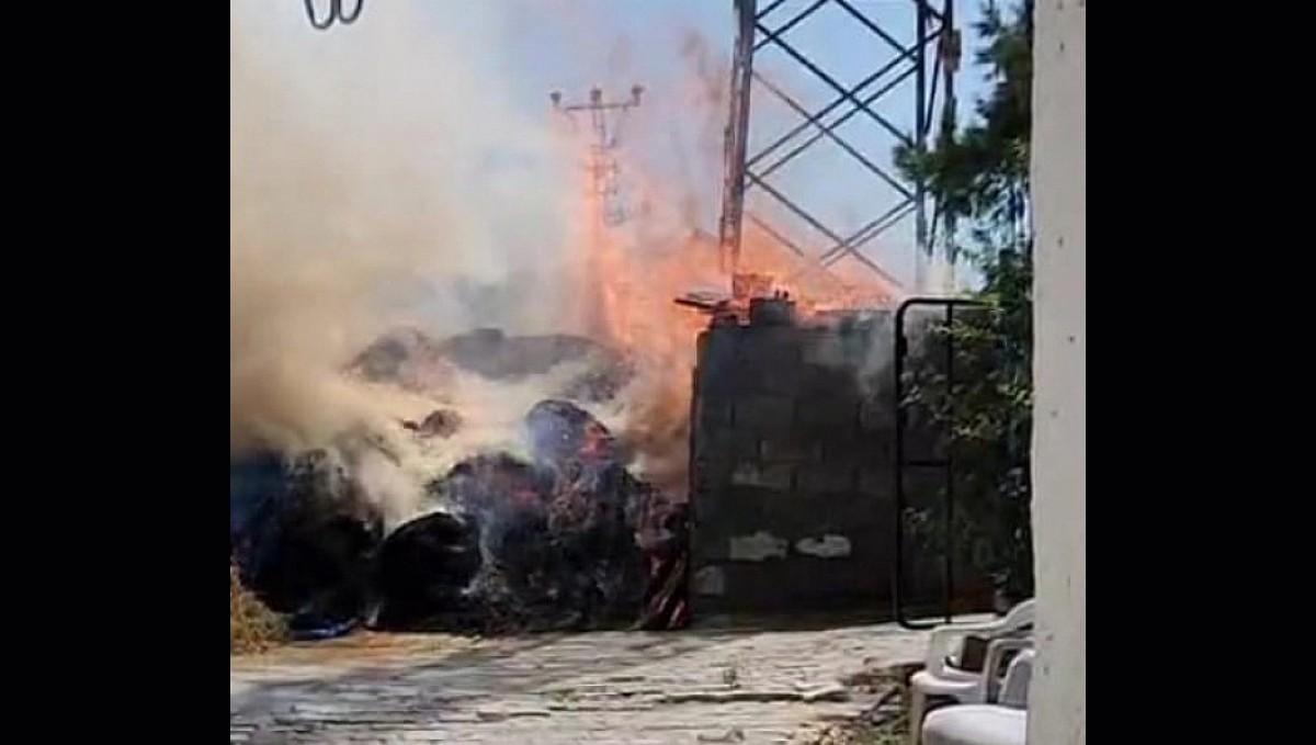 Elektrik kabloları odunlukta yangına neden oldu