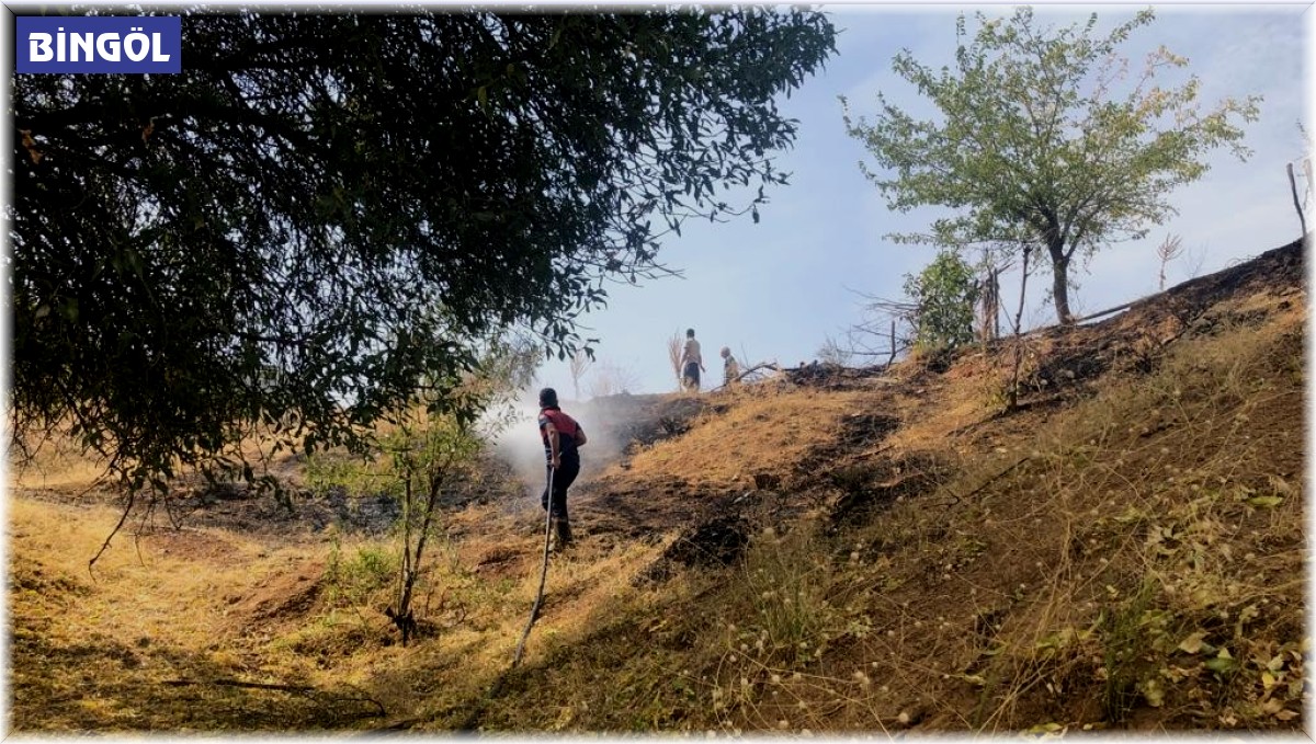 Elektrik tellerinden çıkan yangın kontrol altına alındı