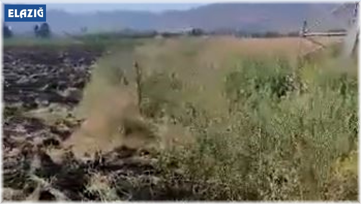 Elektrik tellerine çarpan kargalar nedeniyle alev alan tarla, vatandaşlar tarafından söndürüldü