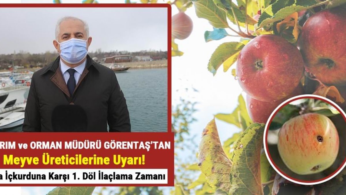 Elma iç kurduna karşı ilaçlama uyarısı