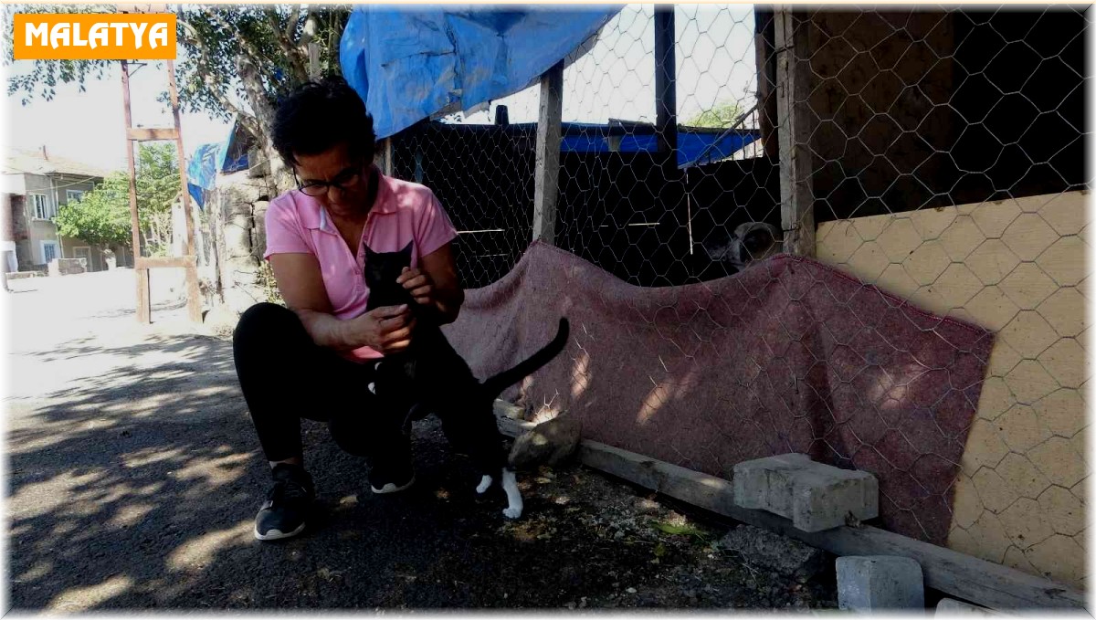 Emekli maaşını sokak hayvanlarına harcıyor