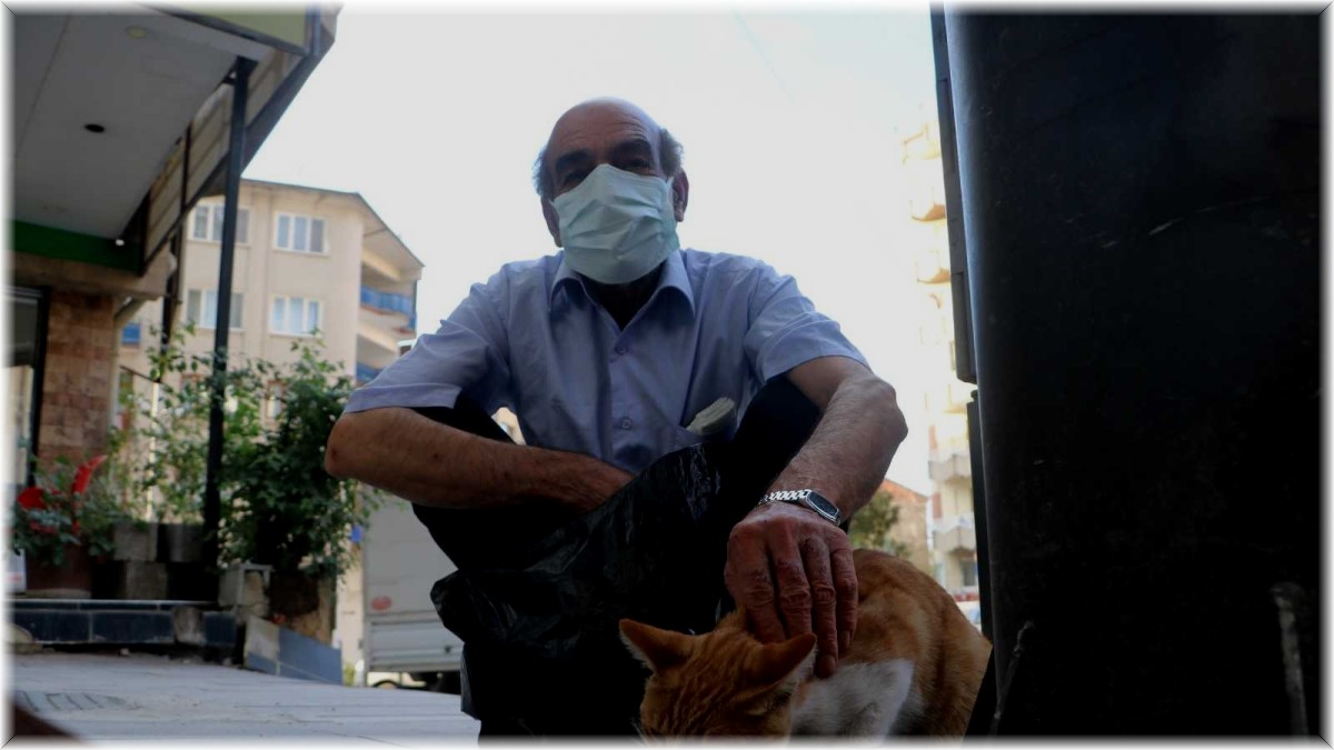 Emekli maaşıyla 200 kediyi besliyor