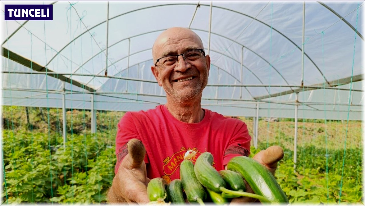 Emekli oldu kendi imkanlarıyla sera kurdu, üretime başladı ama çalıştıracak eleman bulamıyor