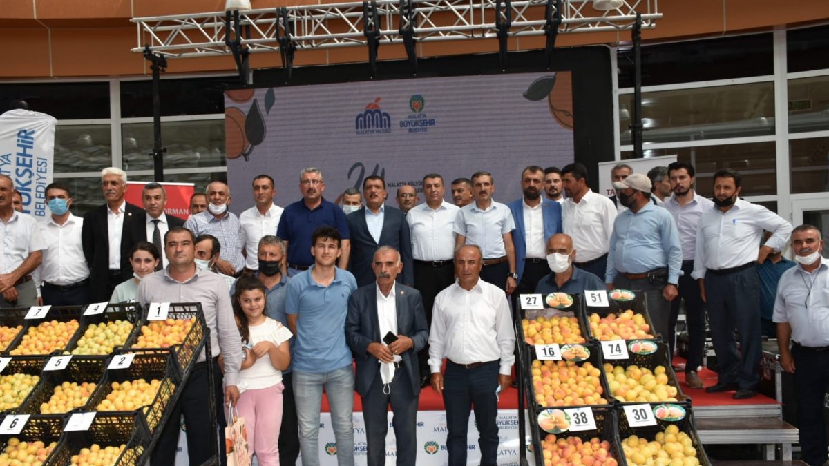 'En iyi yaş kayısı' yarışması yapıldı