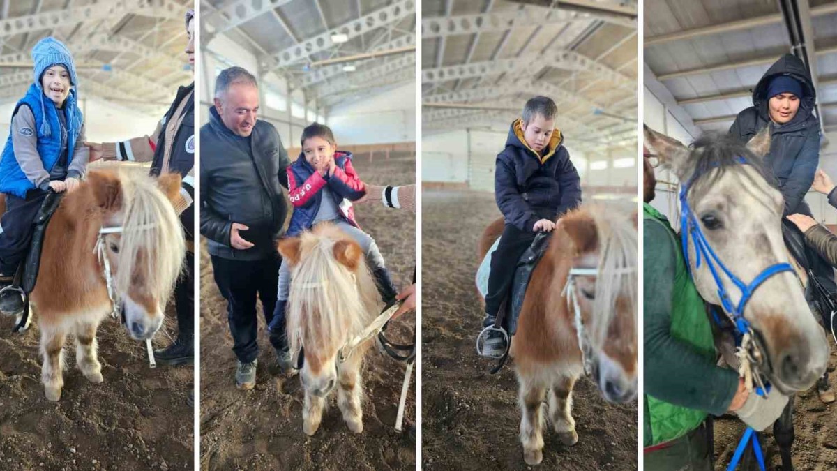 Engelli bireyler için anlamlı etkinlik: Hipoterapi ve biniş eğitimi