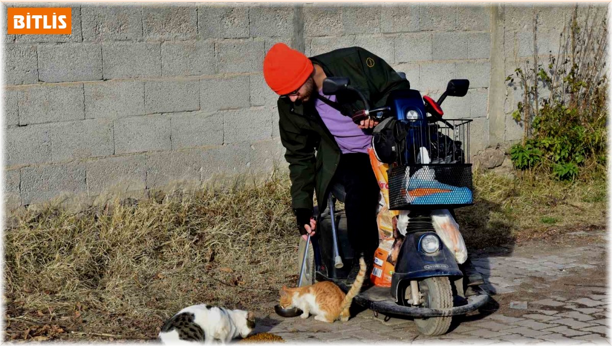 Engelli genç 10 yıldır sokak hayvanlarını besliyor