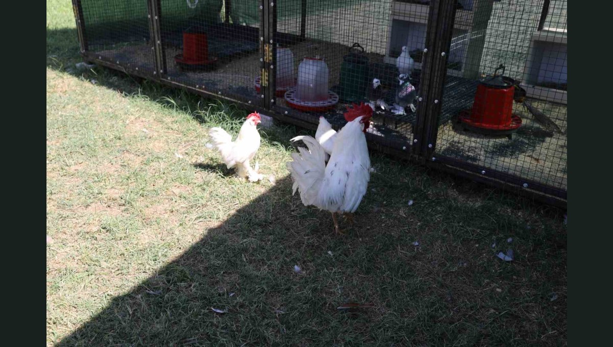 Engelsiz Yaşam Merkezi'nden yeni rehabilitasyon uygulaması