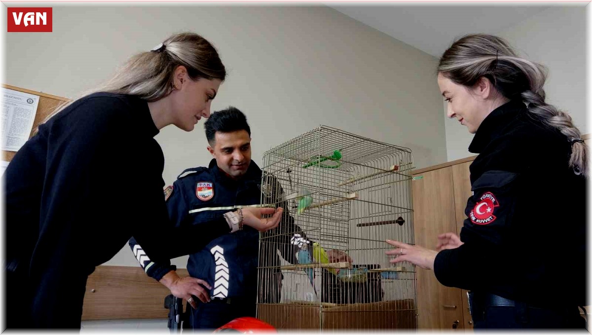 Enkazdan çıkarılan muhabbet kuşları Van polisine emanet