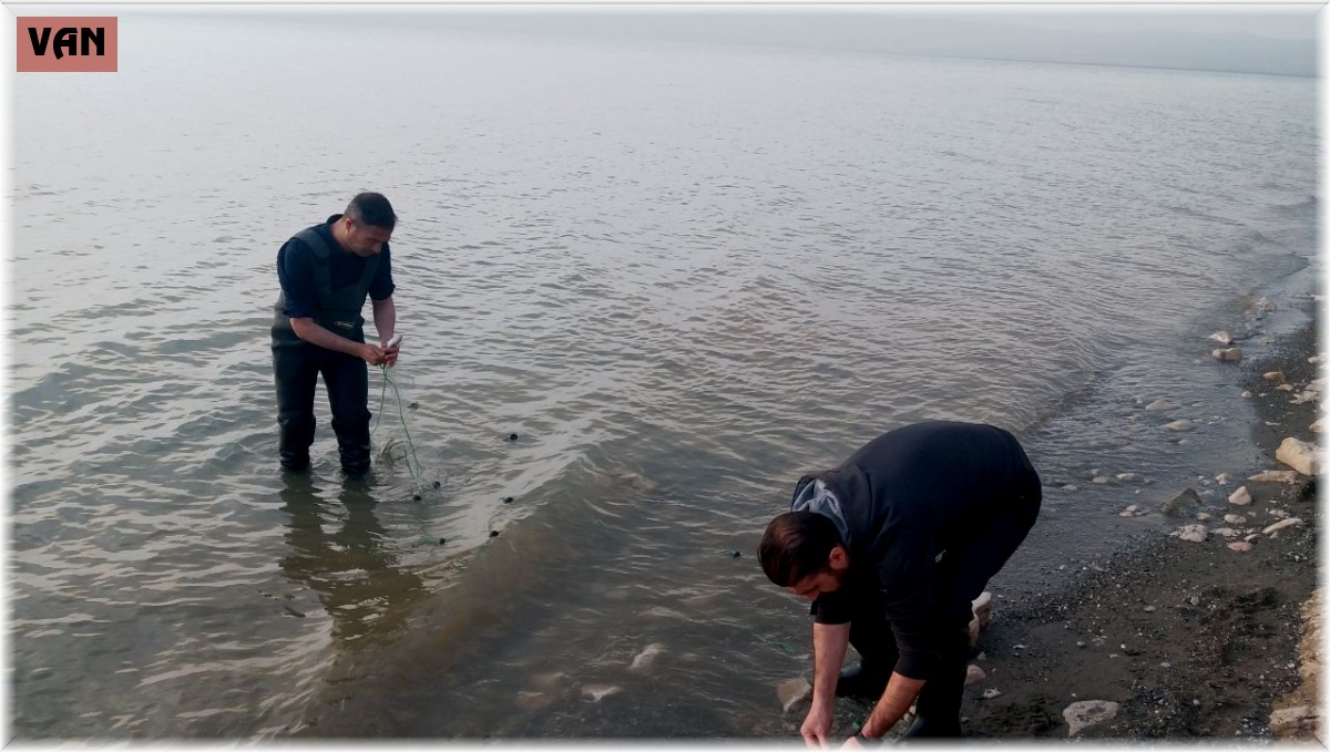 Erçek Gölü'ndeki inci kefali balıkları da korunuyor