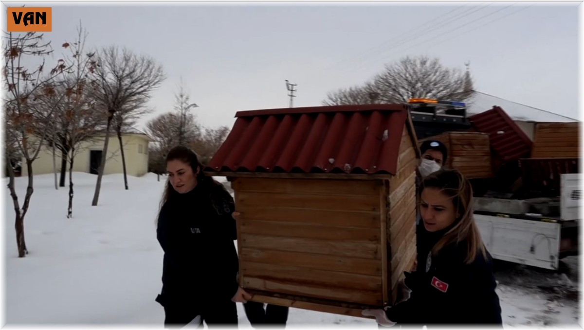 Erciş Belediyesinden sokak hayvanları için kulübe