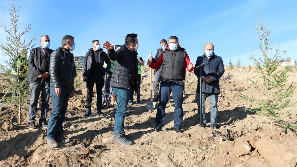 Erciş'te 1742 fidan toprakla buluşturuldu