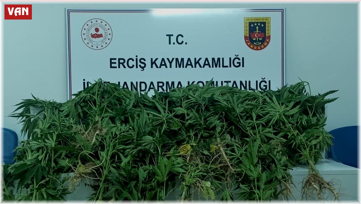 Erciş'te çeşitli miktarlarda uyuşturucu madde ele geçirildi