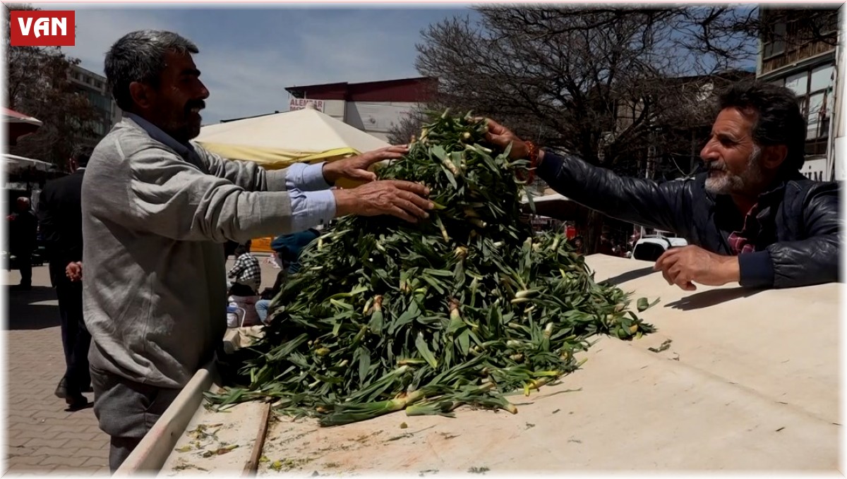 Erciş'te çiriş otu tezgahlardaki yerini aldı