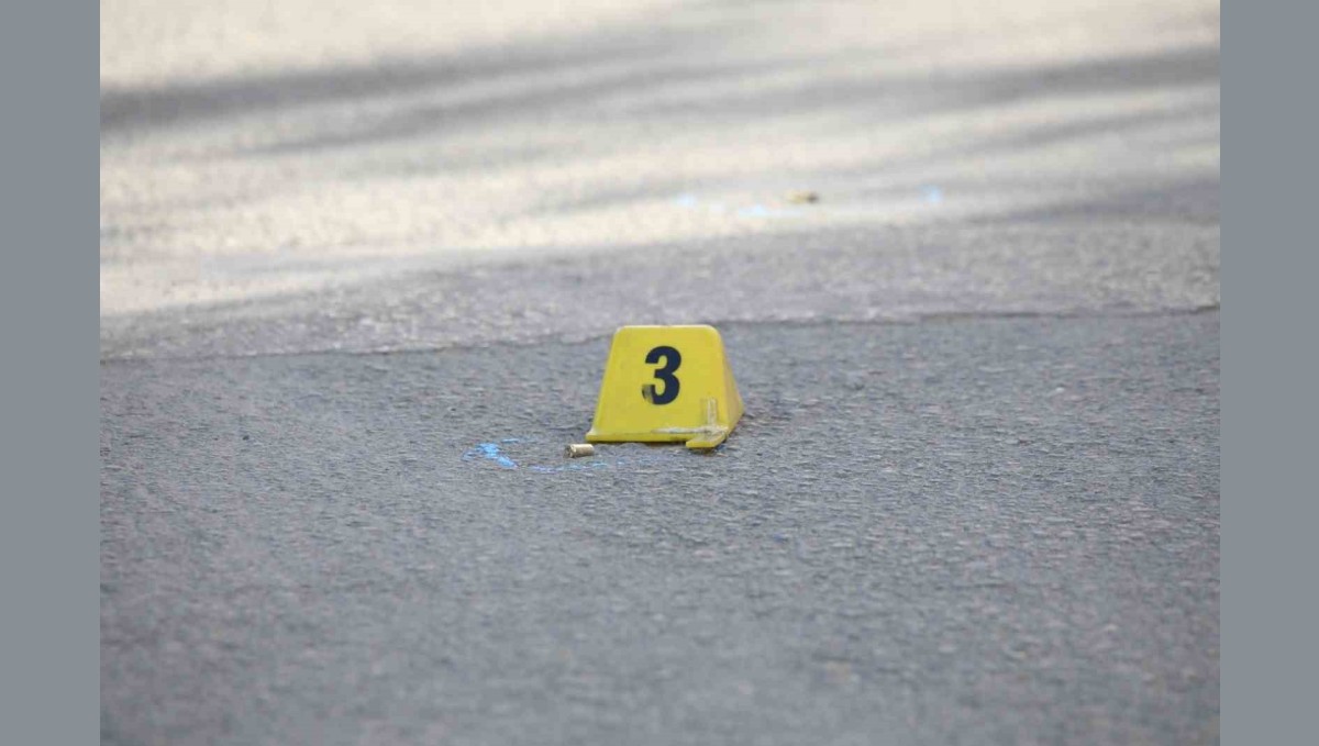 Erciş'te iki kardeşe silahlı saldırı: 1 ölü, 1 yaralı