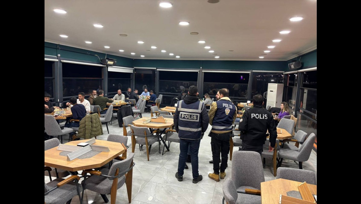 Erciş'te jandarma ve polisten eş zamanlı denetim