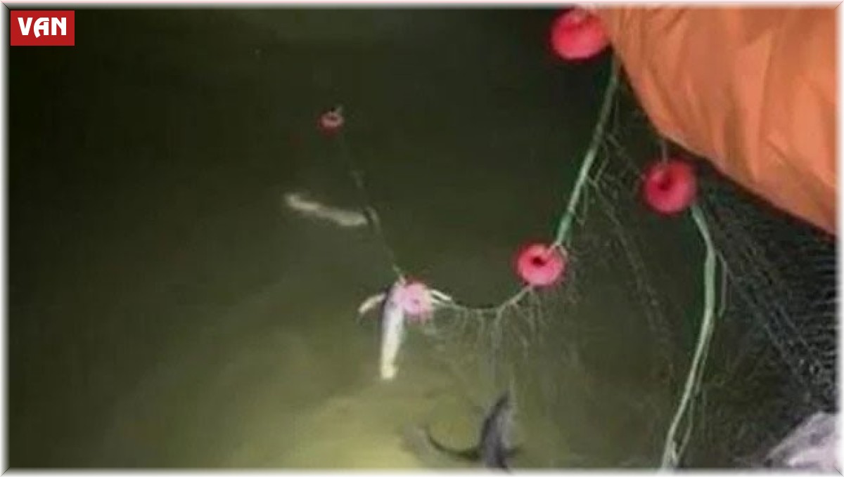 Erciş'te kaçak avlanan 200 kilo canlı balık yeniden suya bırakıldı