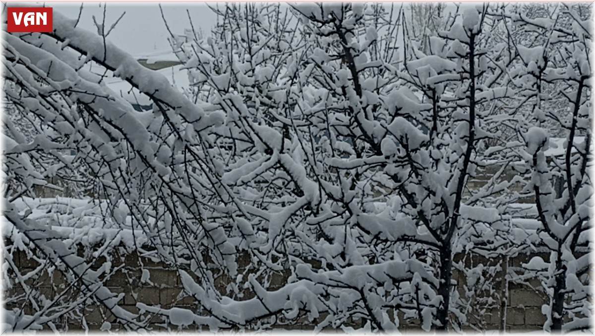 Erciş'te kar yağışı etkili oldu